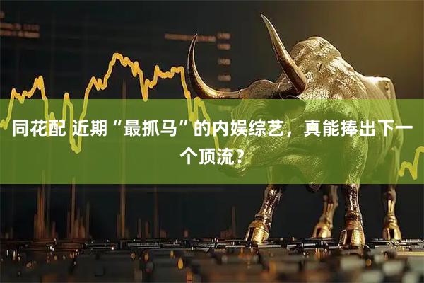 同花配 近期“最抓马”的内娱综艺，真能捧出下一个顶流？
