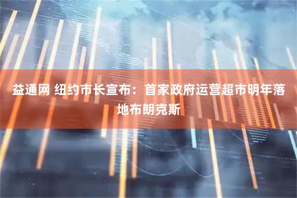 益通网 纽约市长宣布：首家政府运营超市明年落地布朗克斯